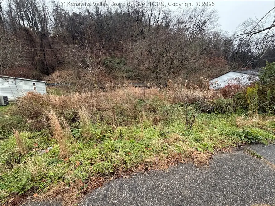 43 Gaines Street, Montgomery, WV 25136 - Image #3