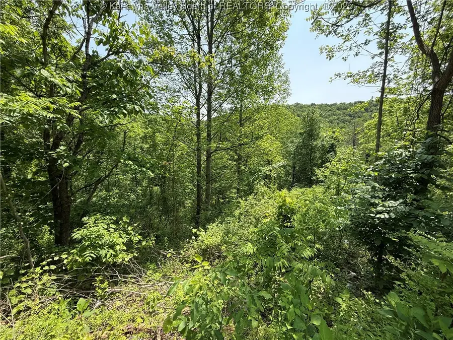 160 Pine Street, Charleston, WV 25311 - Image #2