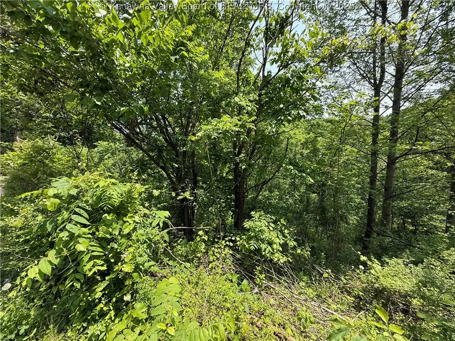 160 Pine Street, Charleston, WV 25311 - Image #3