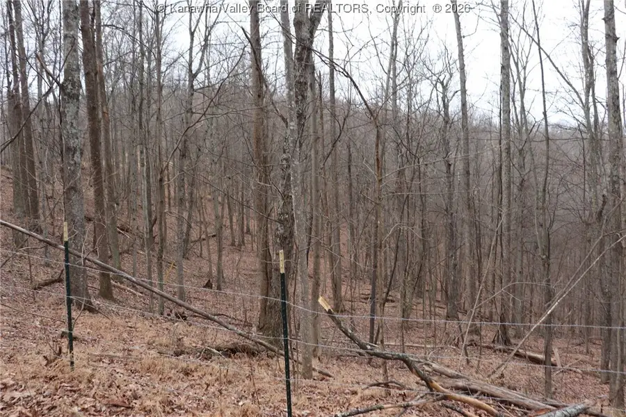 0 Route 12 Road, Alum Creek, WV 25003 - Image #2