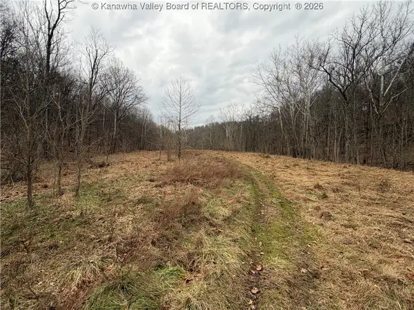0 Red Brush Run Road, Ravenswood, WV 26164