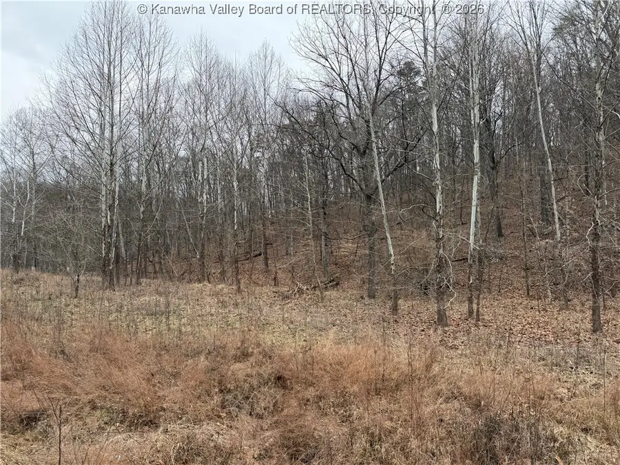 0 Red Brush Run Road, Ravenswood, WV 26164 - Image #3