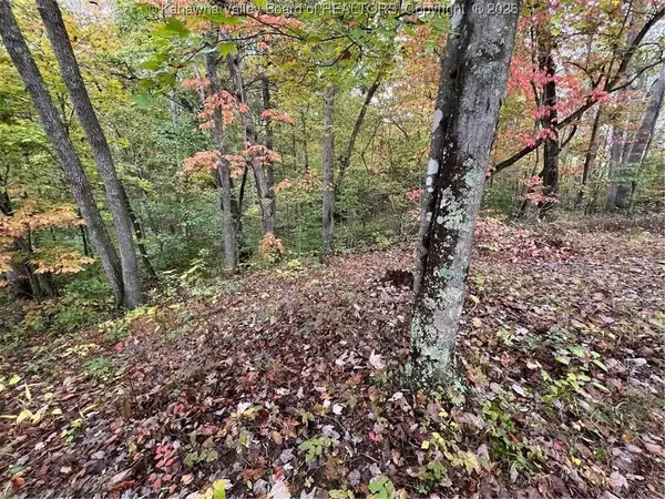0 Crystal Springs Drive #Big Lot, Winfield, WV 25213
