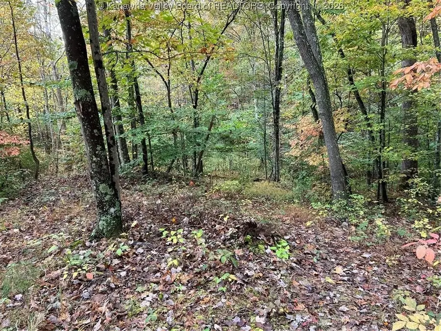 0 Crystal Springs Drive #Big Lot, Winfield, WV 25213 - Image #3