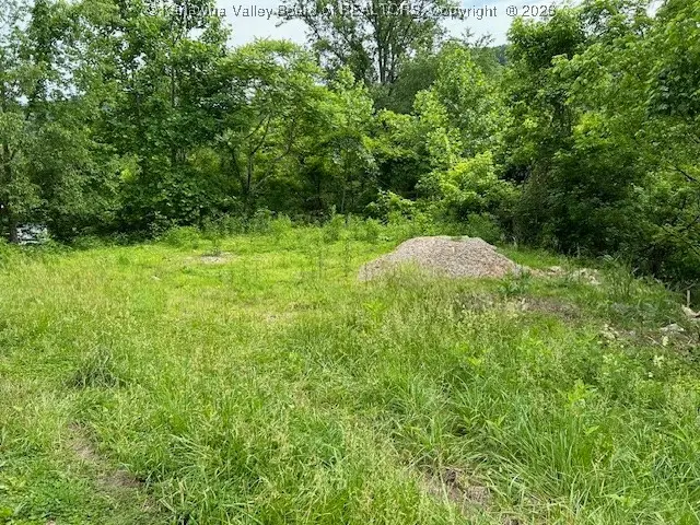 0 Haning Drive, Poca, WV 25159 - Image #3