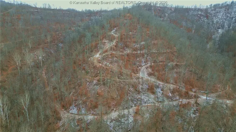 827 Caney Branch Road, Chapmanville, WV 25508 - Image #2