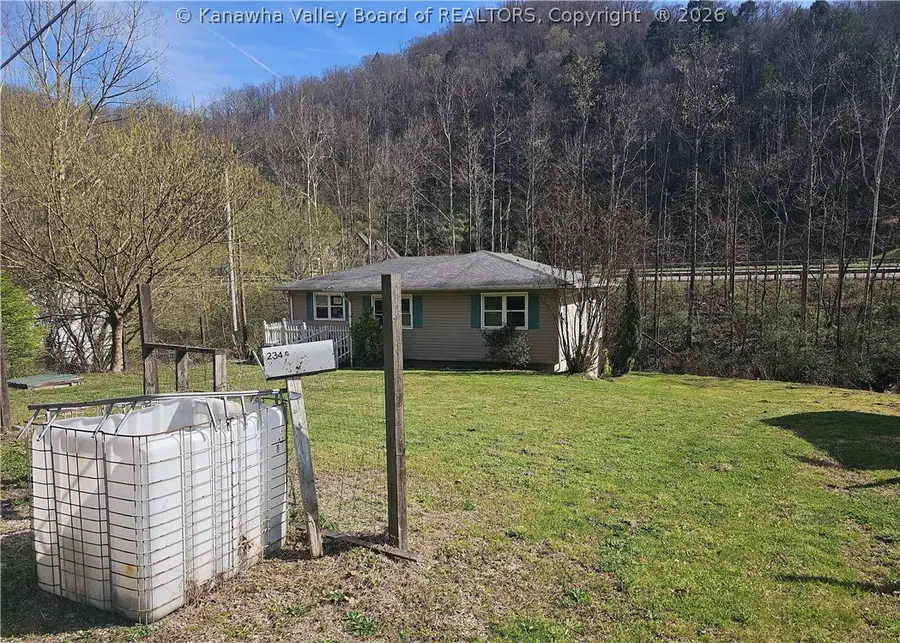 234 Daystar Road, Delbarton, WV 25670 - #2