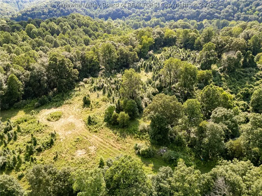 40 Two Mile Road, Branchland, WV 25506 - #3