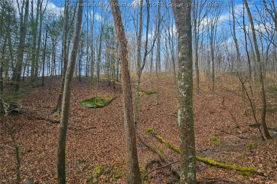 709 Cicerone Road, Gandeeville, WV 25243 - #3