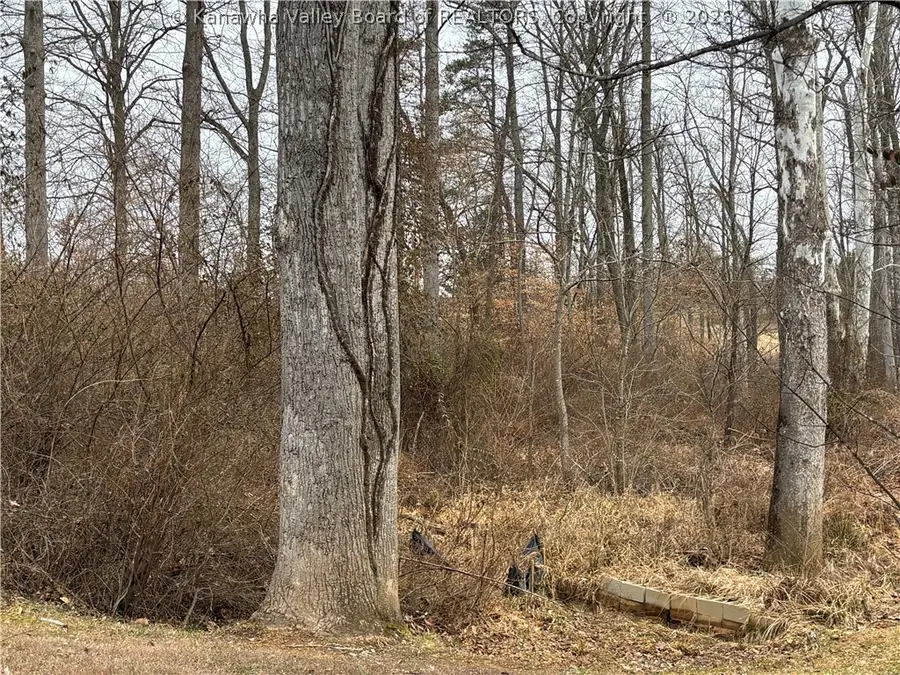 0 A Stones Throw #18, Saint Albans, WV 25177 - #2