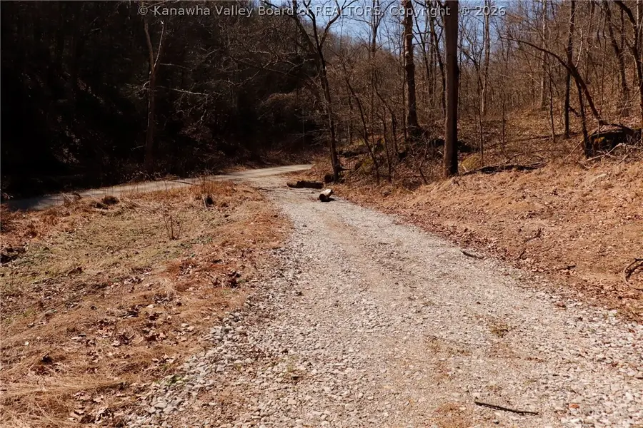 0 Straight Crk Road, Walton, WV 25286 - #2