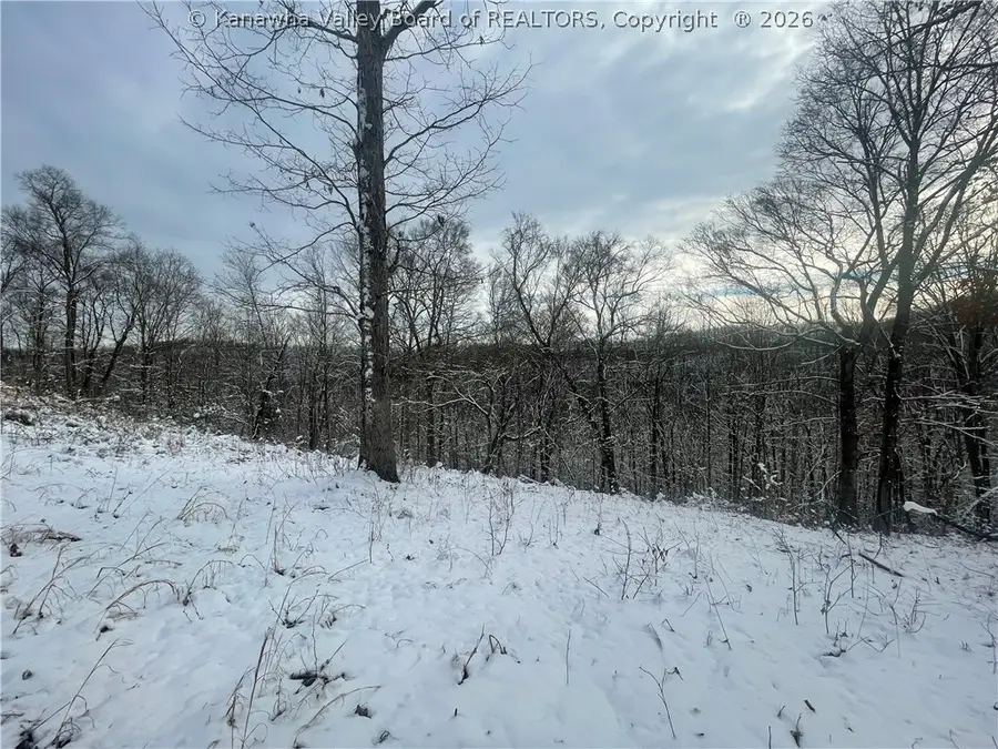00 Grouse Ridge, Sumerco, WV 25567 - #2