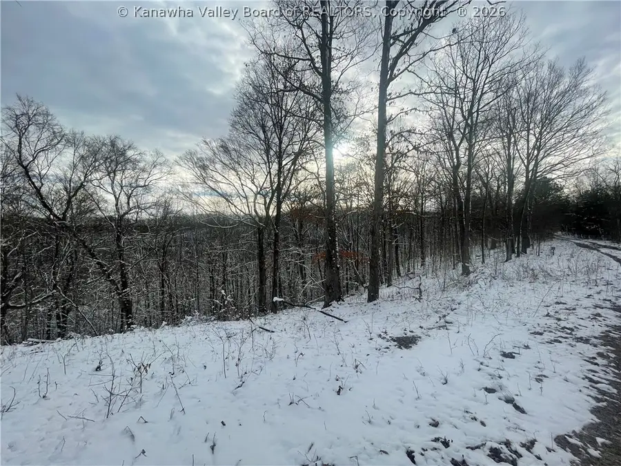 00 Grouse Ridge, Sumerco, WV 25567 - #3