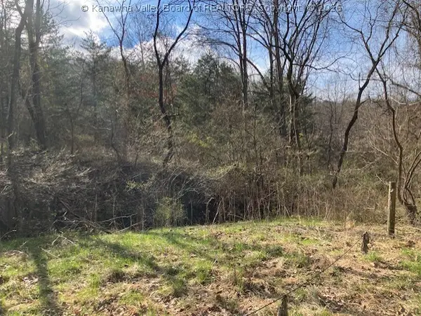 1402 Pierce Road, Leon, WV 25123