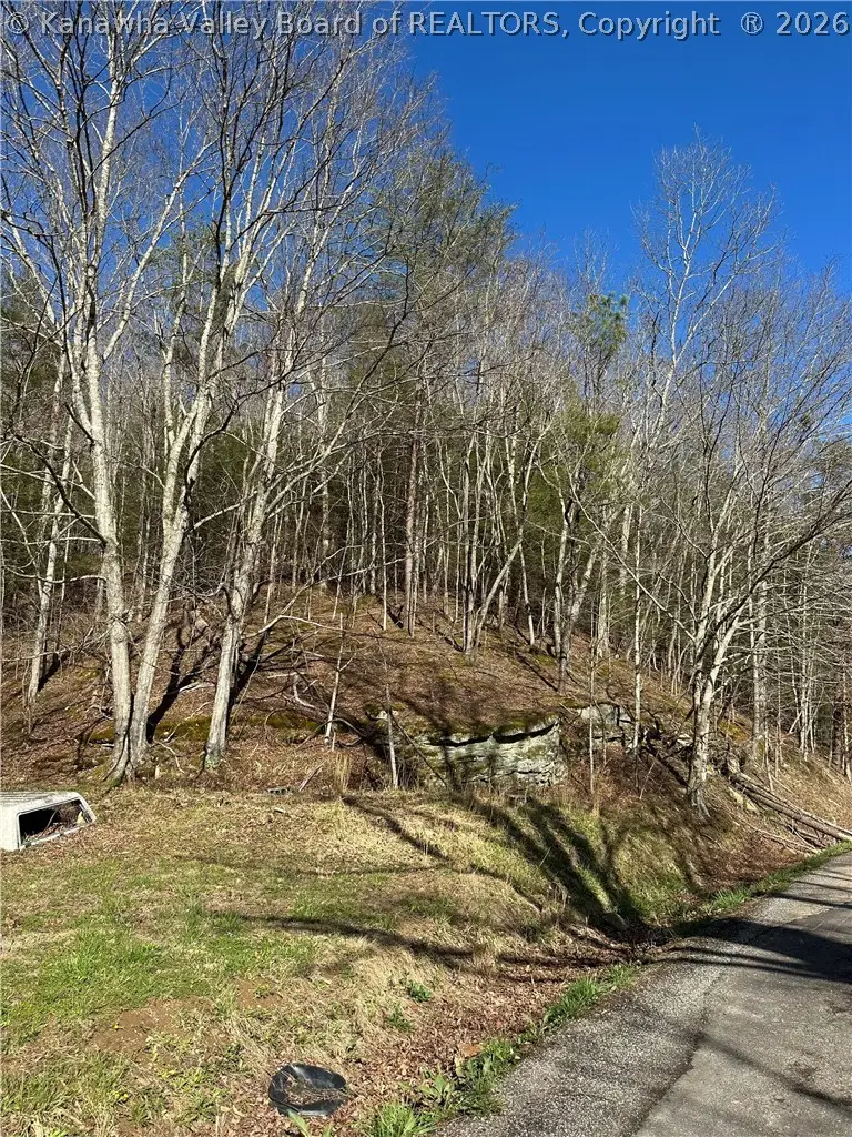 1038 Sycamore Road, Griffithsville, WV 25521 - #1