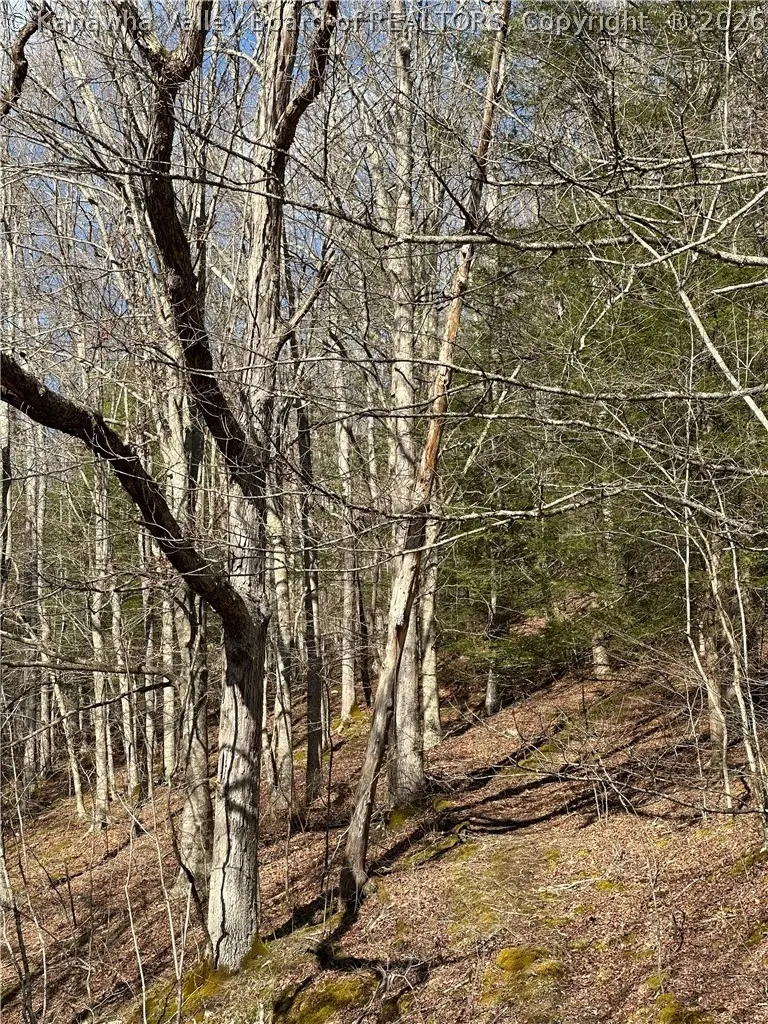 1038 Sycamore Road, Griffithsville, WV 25521 - #2