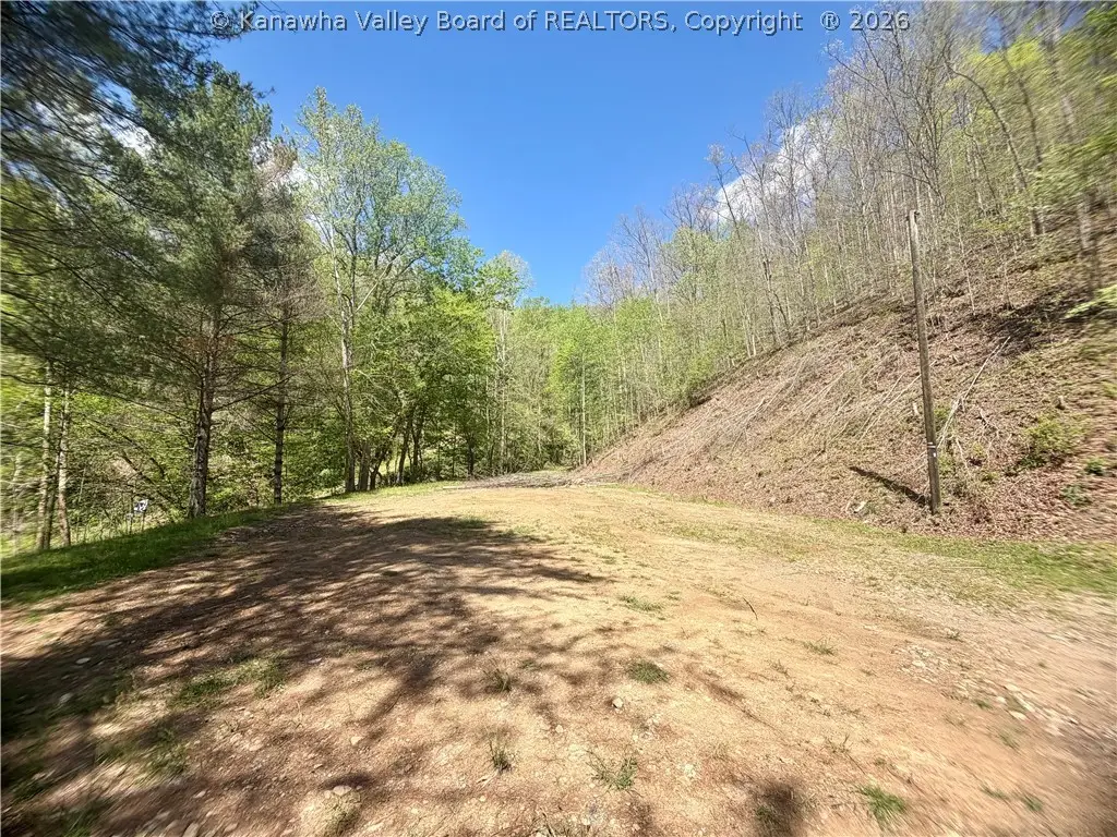 469 Tims Fork Road, Chapmanville, WV 25508 - #1