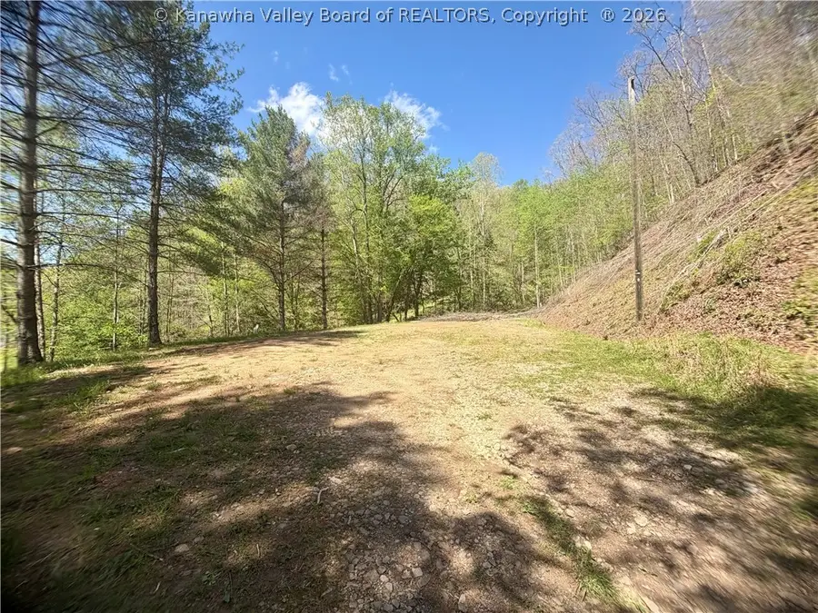 469 Tims Fork Road, Chapmanville, WV 25508 - #3