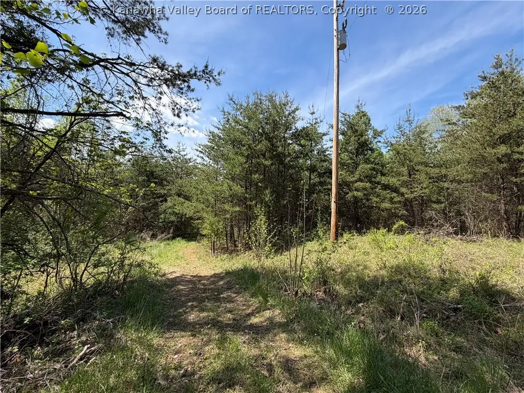0 Boggess Lane, Kenna, WV 25248 - #1