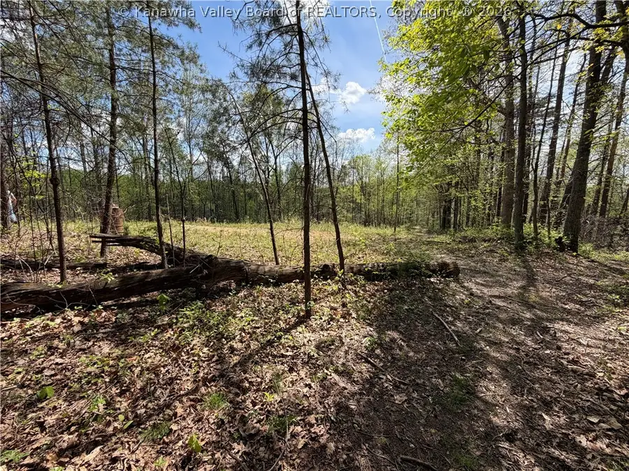 0 Boggess Lane, Kenna, WV 25248 - #2