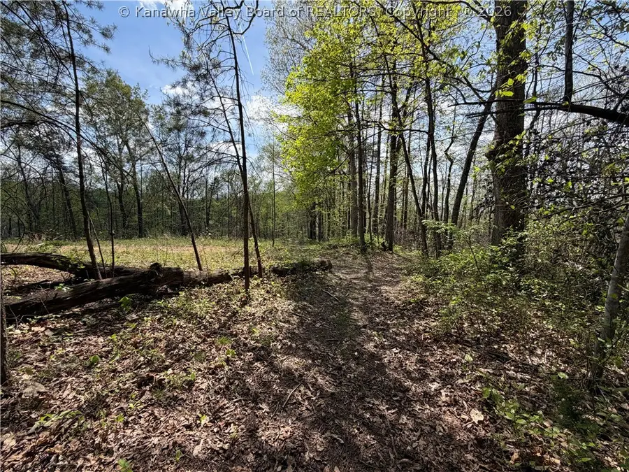 0 Boggess Lane, Kenna, WV 25248 - #3