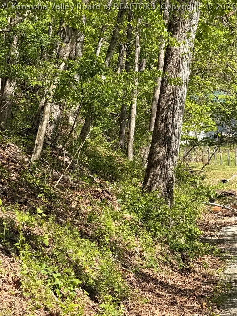 1040 Stone Drive, Saint Albans, WV 25177 - #3