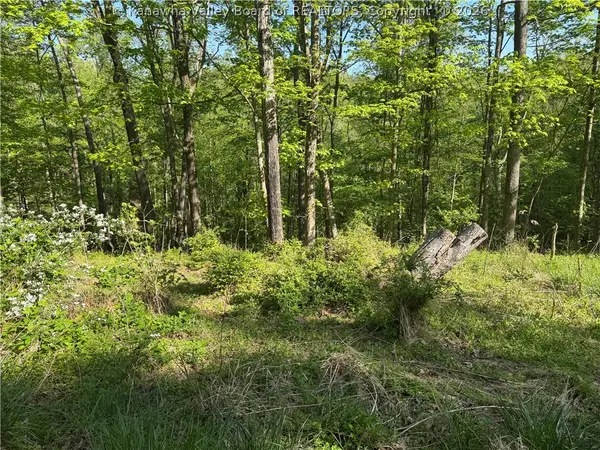 0 Woodfield Lane, Charleston, WV 25314