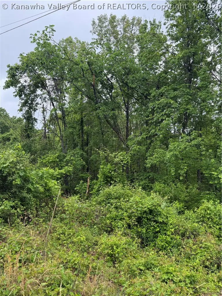 160 Margy Lane, South Charleston, WV 25309 - #2