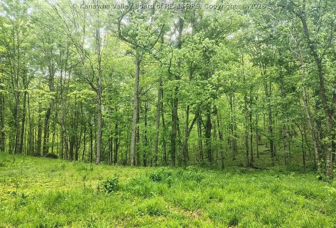 0 Gay Road, Ripley, WV 25271 - #1