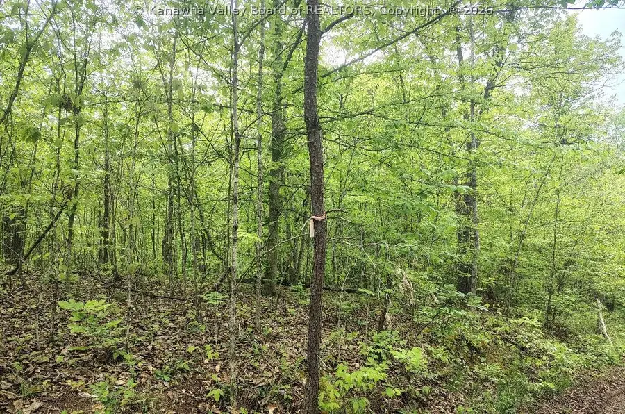 0 Gay Road, Ripley, WV 25271 - #2