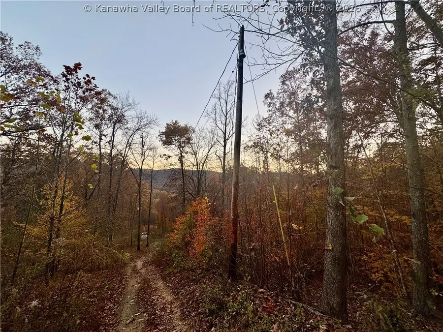 501 Mallard Lane, Bloomingrose, WV 25024 - #2