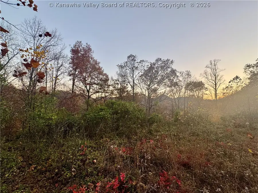 501 Mallard Lane, Bloomingrose, WV 25024 - #3