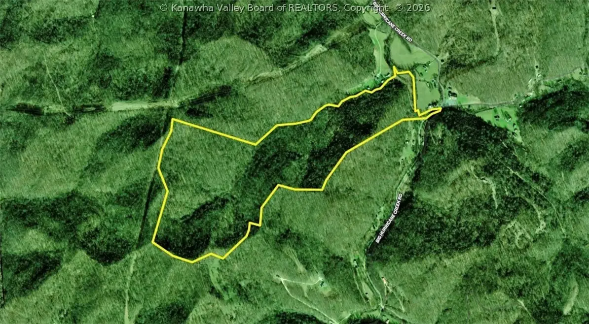 3480 Big Hurricane Creek Road, Fort Gay, WV 25514 - #1