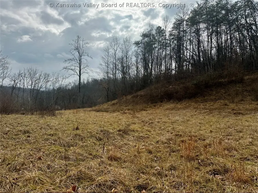 3480 Big Hurricane Creek Road, Fort Gay, WV 25514 - #2
