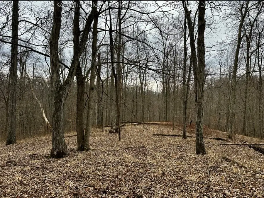 3480 Big Hurricane Creek Road, Fort Gay, WV 25514 - #3