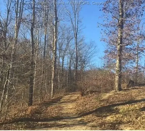 3129 Straight Fork, Alkol, WV 25501 - #1