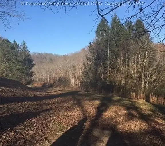 3129 Straight Fork, Alkol, WV 25501 - #2