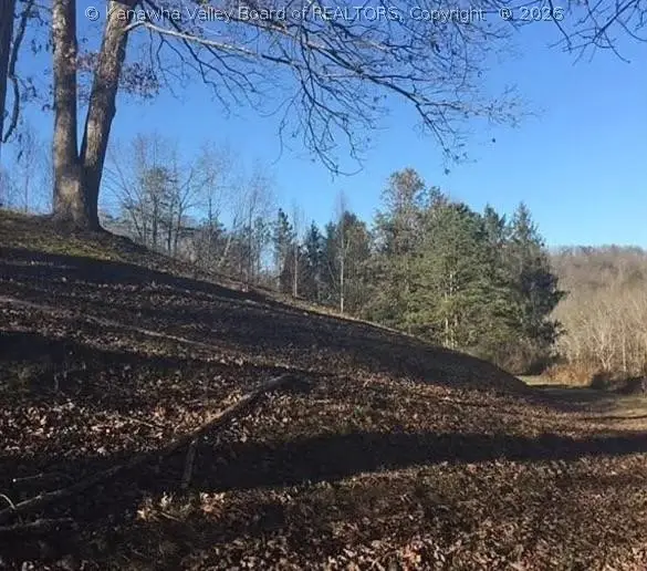 3129 Straight Fork, Alkol, WV 25501 - #3