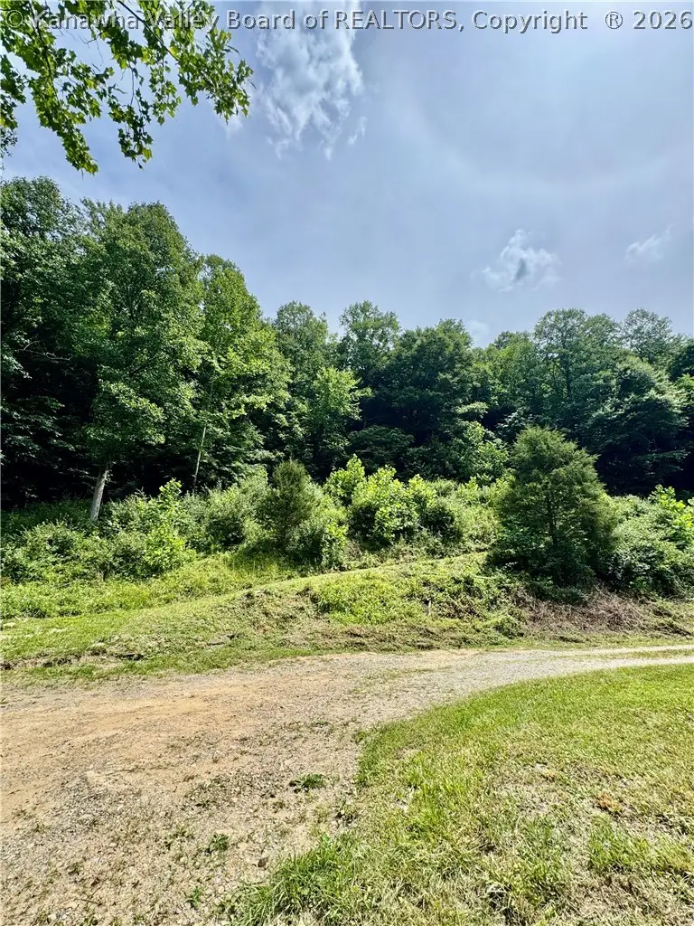 1542 Trace Fork Road, Chapmanville, WV 25508 - #3