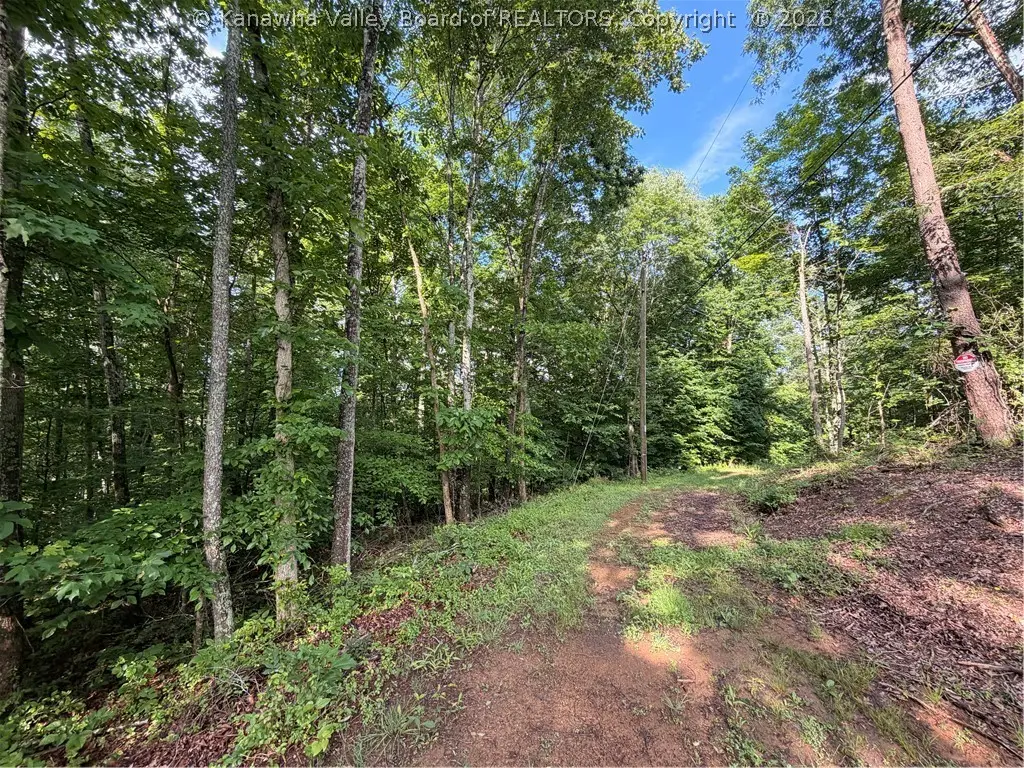 0 County Road 28 Road, Tornado, WV 25202 - #1