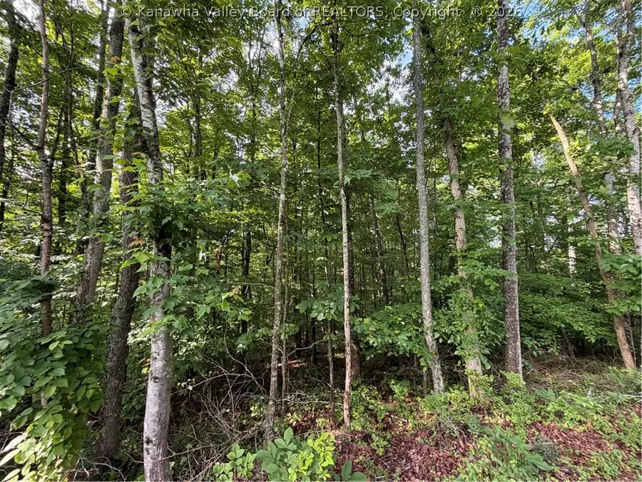 0 County Road 28 Road, Tornado, WV 25202 - #2
