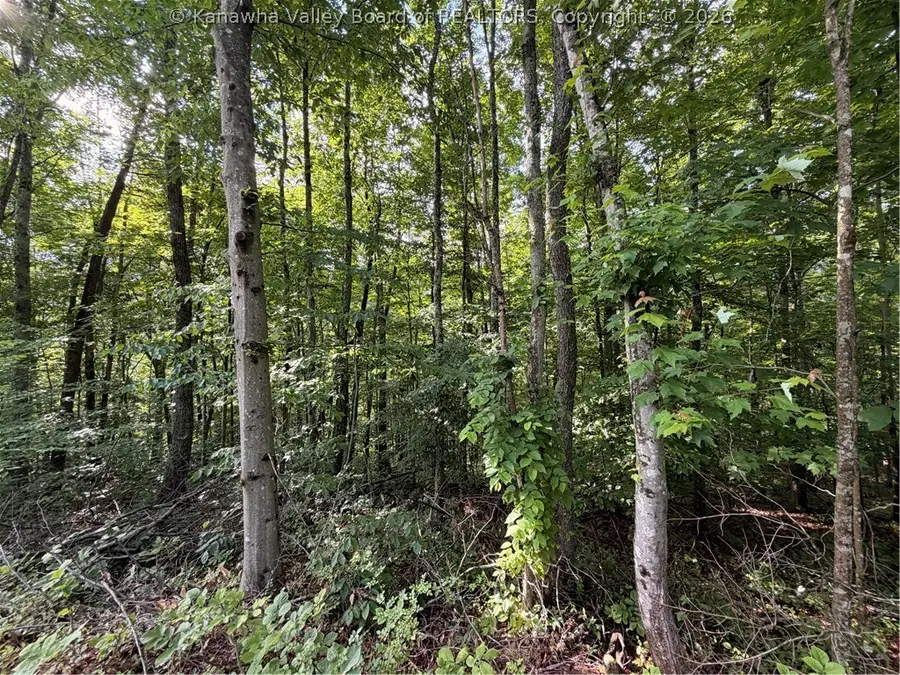 0 County Road 28 Road, Tornado, WV 25202 - #3