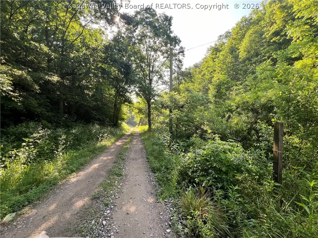 0 Starchers Fork Road, Spencer, WV 25276 - #1