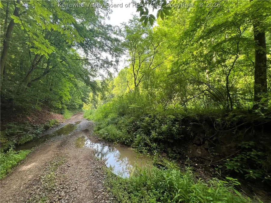 0 Starchers Fork Road, Spencer, WV 25276 - #2