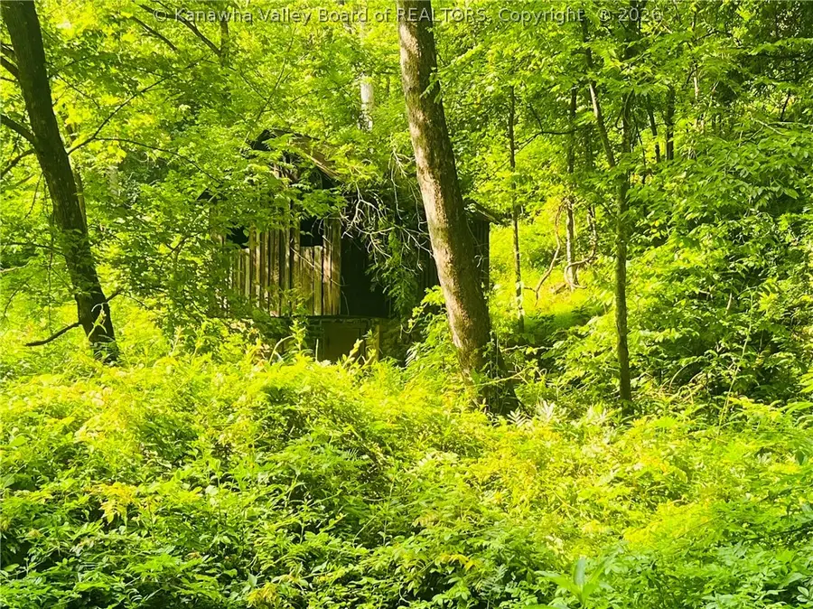 0 Starchers Fork Road, Spencer, WV 25276 - #3