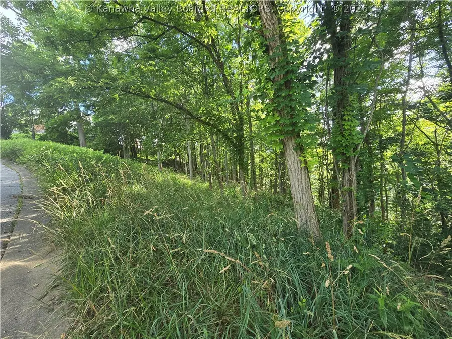 5 Pinnacle Place, Charleston, WV 25311 - #3