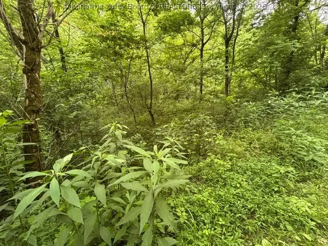 000 Brush Run Road, Gay, WV 25244 - #1