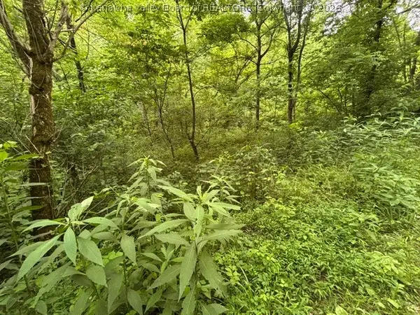 000 Brush Run Road, Gay, WV 25244