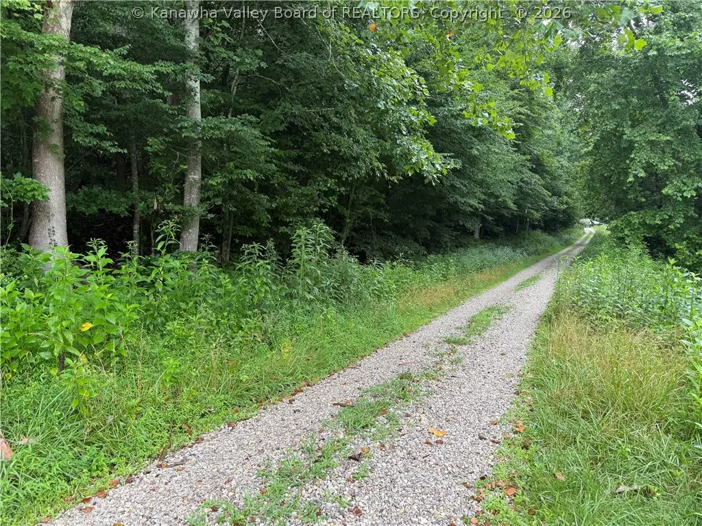 TBD Upper Mud River Road, Branchland, WV 25506 - #1