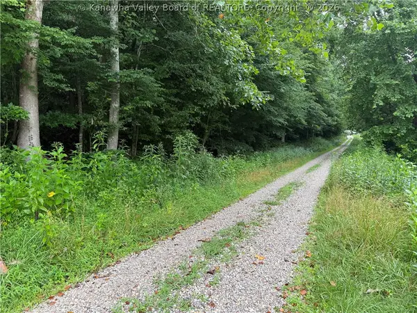 TBD Upper Mud River Road, Branchland, WV 25506